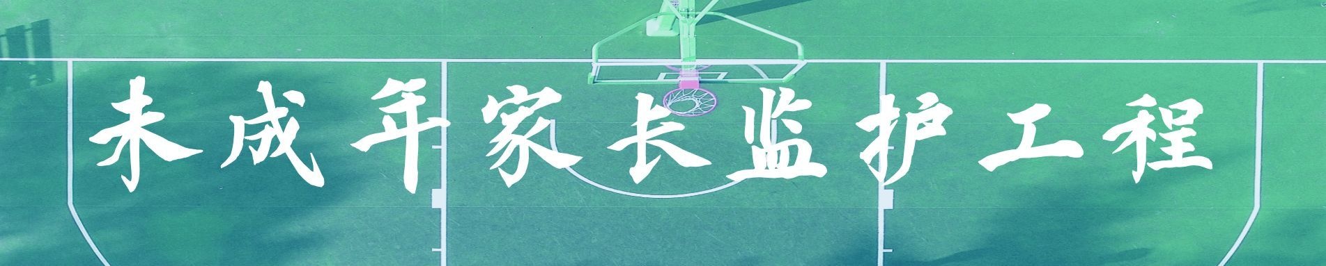 未成年人家长监护体系